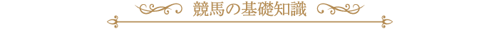 競馬の基礎知識