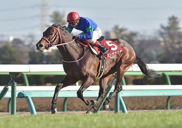 最終値下げ パンサラッサ  新馬戦 現地単勝馬券 Yahoo!オークション -「新馬戦」(終了したレースの馬券) (競馬