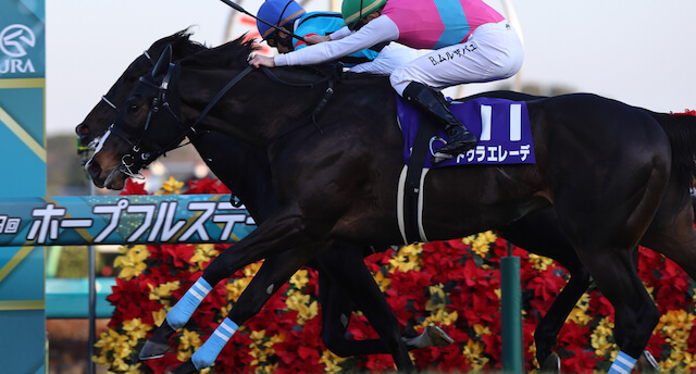 競走馬記念ブルゾン ドゥラエレーデ
