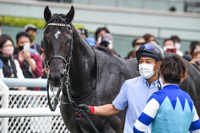 グランヴィノスのプロフィールについて