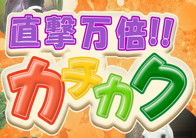 カチカク画像