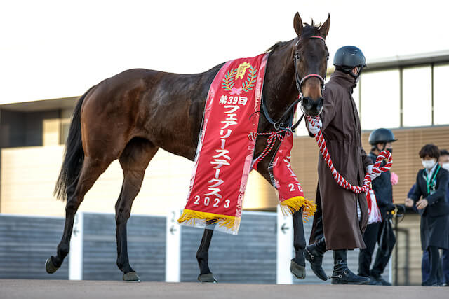 キタウイングの競走成績について