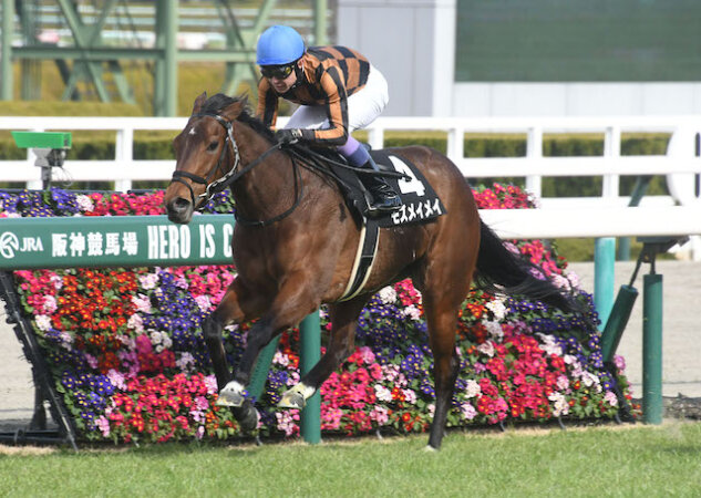 モズメイメイの馬主