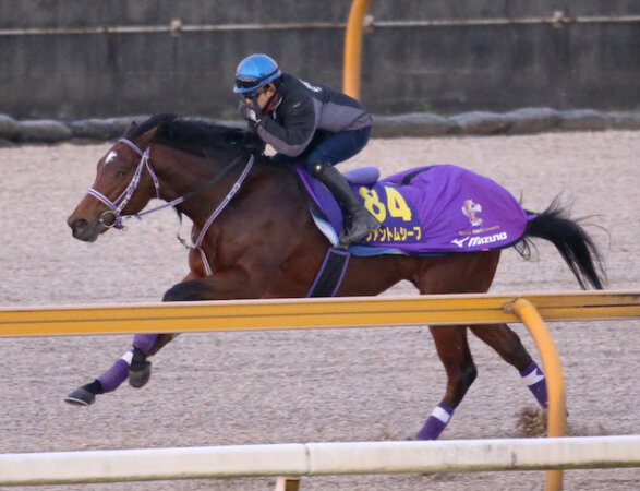 ファントムシーフについて