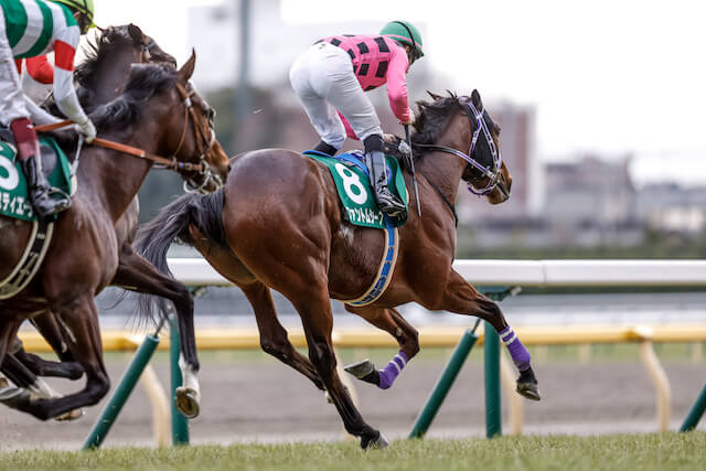 ファントムシーフとはどんな馬