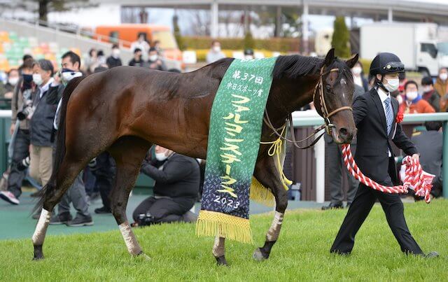 タマモブラックタイの血統