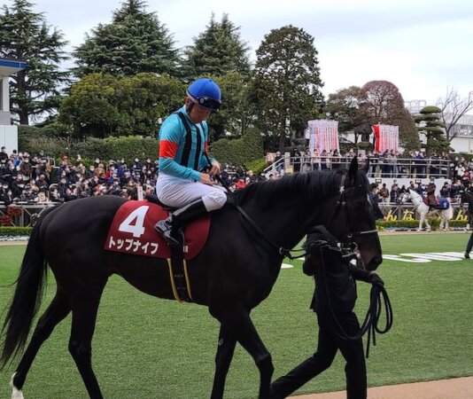 トップナイフの得意なコースは芝2000メートル