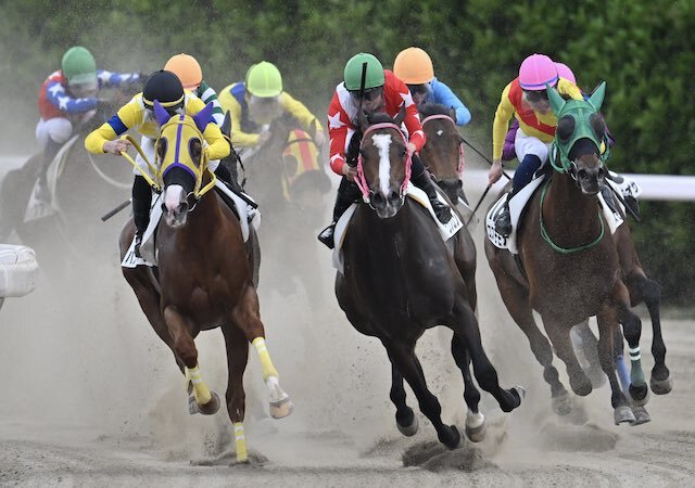 地方競馬　八百長　騎手　（※流入元）（※地方競馬用の誘導）画像