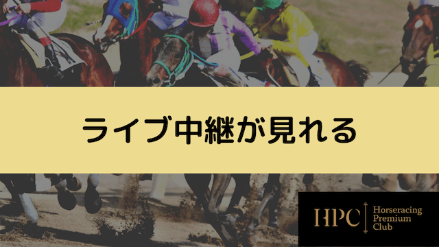 地方競馬のネット投票サイトではライブ中継が見れる