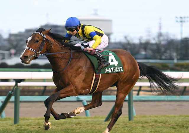 JRAポスター ソールオリエンス 2025オークス ポスター｜日本サイン競馬会