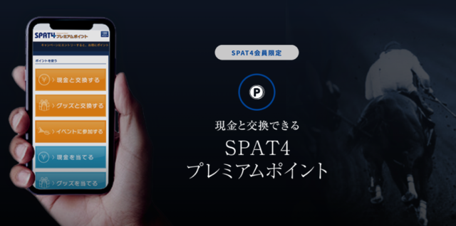 spat4のポイントについて