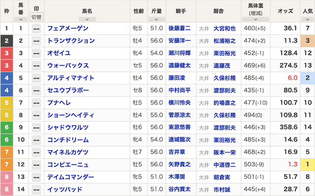 えーあいという競馬予想サイトのベストレースの出走表画像