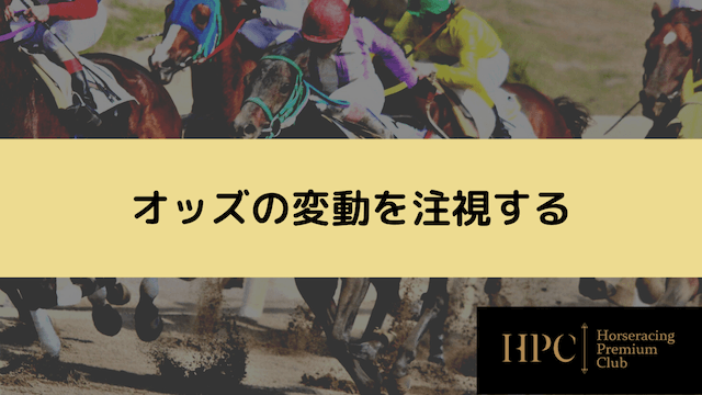 地方競馬で八百長を見抜く方法2