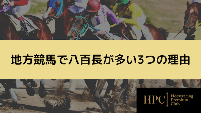 地方競馬で八百長が多い3つの理由