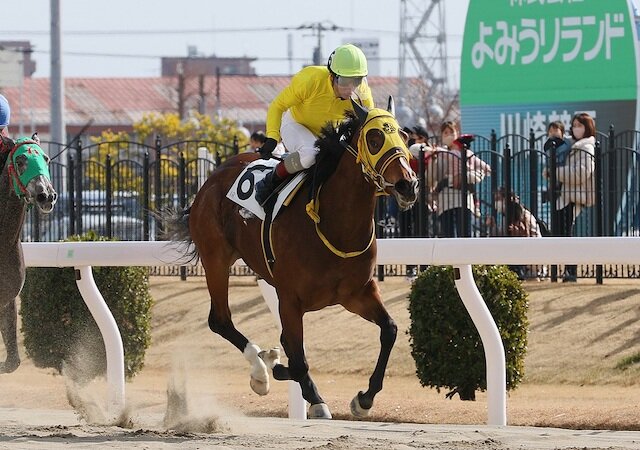 地方競馬　八百長画像