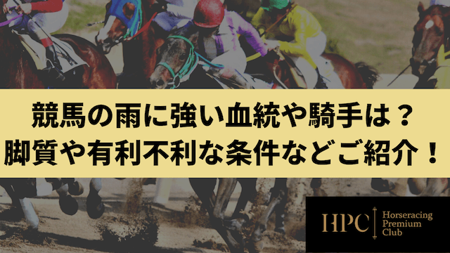 雨の日の競馬についてのコラムのサムネイル画像