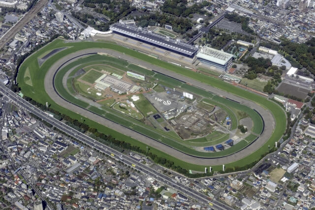 競馬で勝つにはレース傾向を知る必要があることを紹介する画像