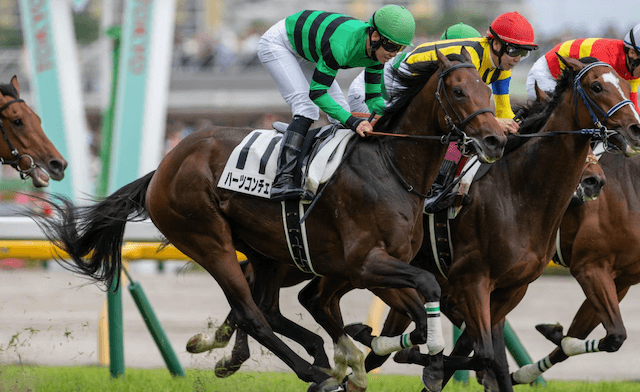 ハーツコンチェルトという競走馬を紹介するコラムのサムネイル画像