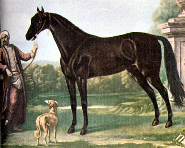 競馬の血統の三大始祖の1つバイアリータークを紹介する画像