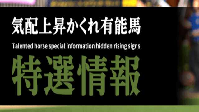特選情報画像