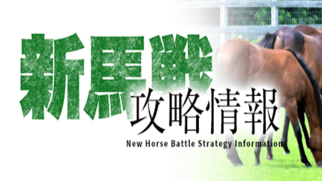 新馬戦攻略情報画像