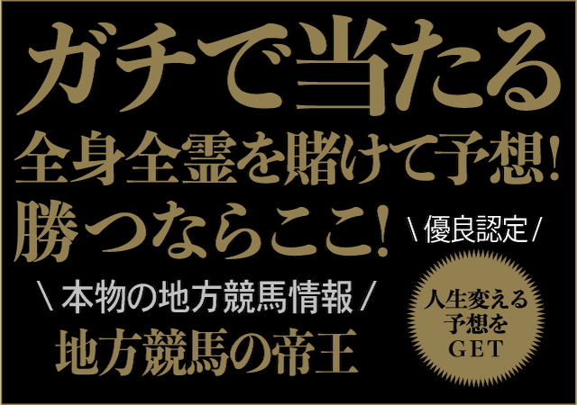 地方競馬の帝王画像