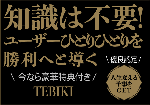 TEBIKI画像