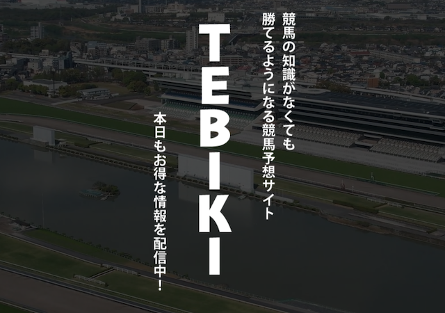 TEBIKI画像