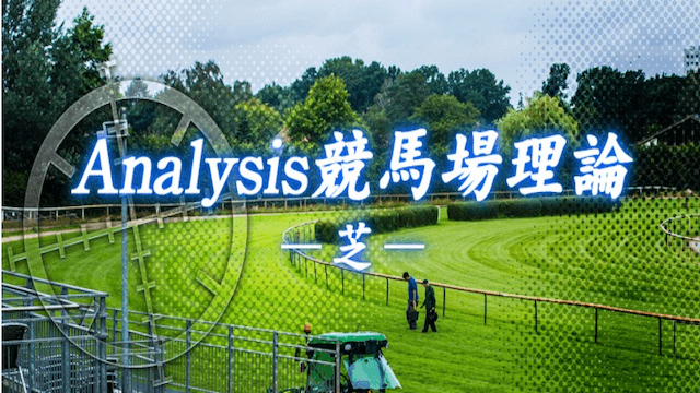 Analysis競馬場理論ｰ芝ｰ画像